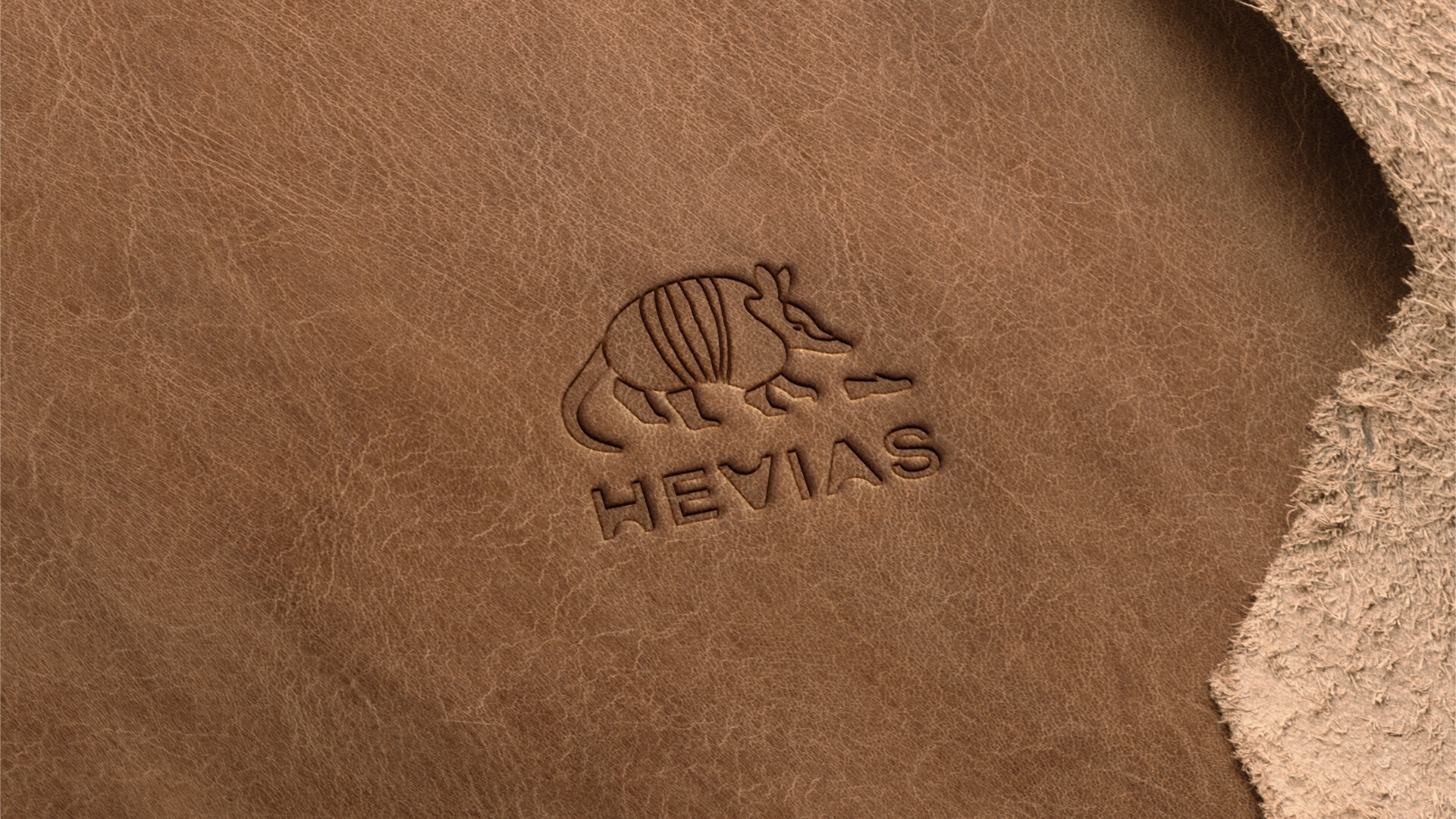 P228 Hevias  Design Intent  Jan 19 21.001.jpeg