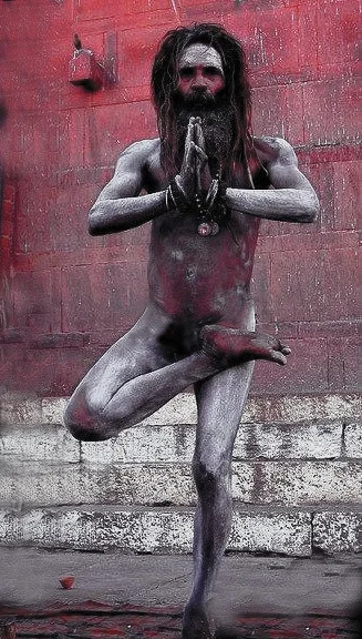 A true Yogi.jpg