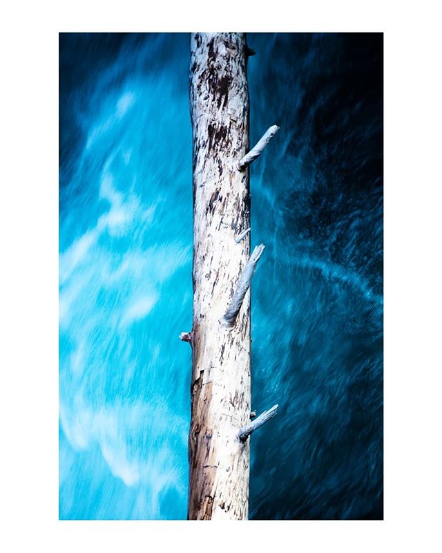 Found some cool color and contrast while waiting for sunrise at a waterfall. Sometimes you gotta point the camera down to find something interesting. &bull;
&bull;
&bull;
&bull;
&bull;
#glaciernationalpark #glaciernps #playglacier #glacierMT #Montana