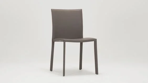    Acel Dining Chair     $249.00 sold by EQ3  