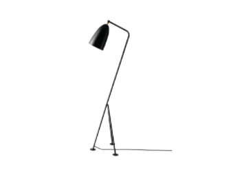    Grasshopper Floor Lamp by Imported Lighting     $249.99 sold on Houzz  