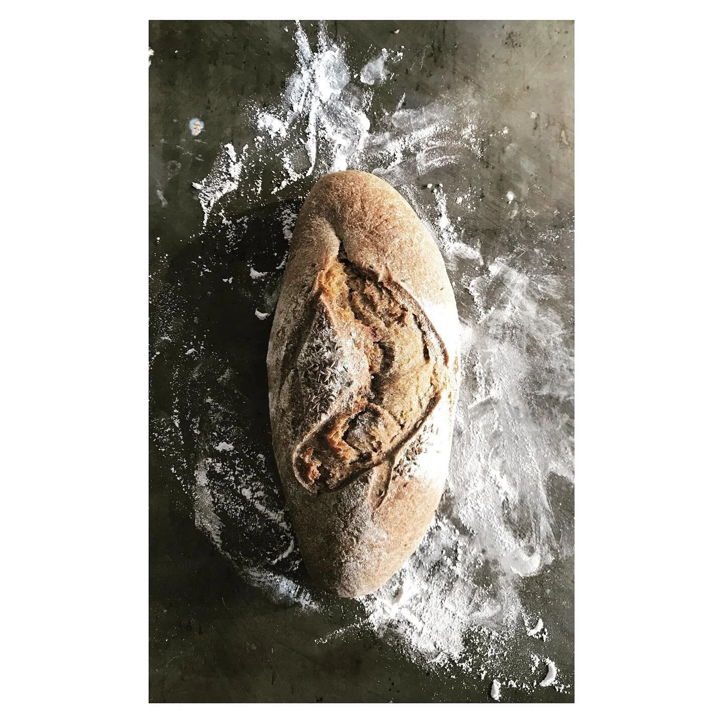 Lockdown delicious rye with fennel seeds. Best with lashings of butter #lockdown #instabread #instafoodie #instafoods #bread #instabake #bakersofinstagram #fitfood #fitfoodie #healthyfood #healthy #ryebread #fennelseeds #delicious #baker #lovebread s