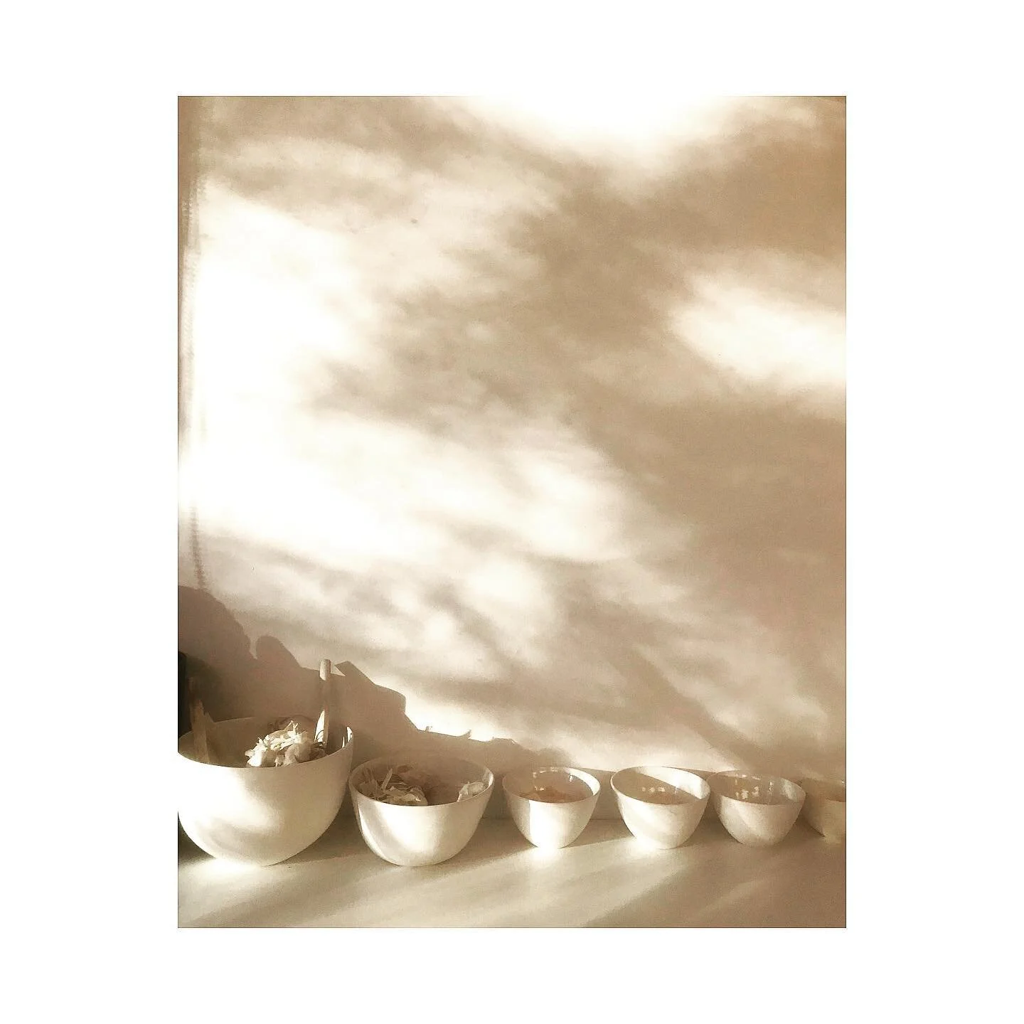 Late afternoon sun on my kitchen wall. Beautiful, simple Mud bowls filled with elephant garlic and salt flakes. Love Halen Mon from Anglesey and Australia&rsquo;s delicious pink Murray River Salt #insta #instafoods #salt #healthyfood #fitfood #salt #