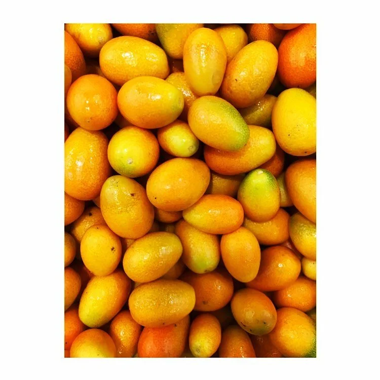 A gift of beautiful ripe cumquats left at my door. Makes me smile. Cumquat marmalade coming up #instagood #instagram #instafoodie #instadaily #insta #instafood #healthyfood #fitfoodie #fit #citrus #cumquat #fruit #foodphotography #summervibes #foodst