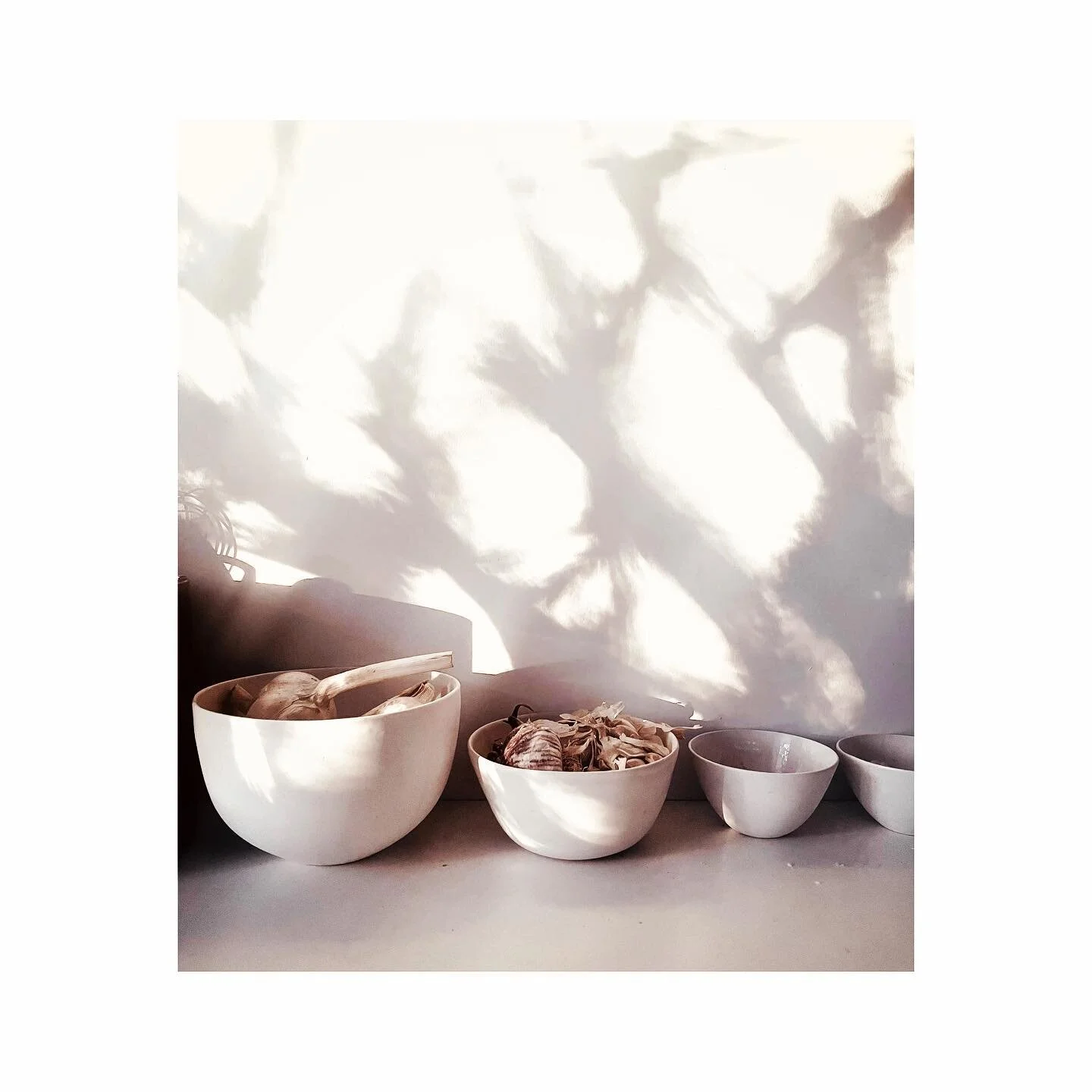 Autumn light casting shadows of naked frangipani branches on my kitchen wall. #instagood #instagram #instaautumn #ceramics #shadow #garlic #instashadow #instalight #lightplay