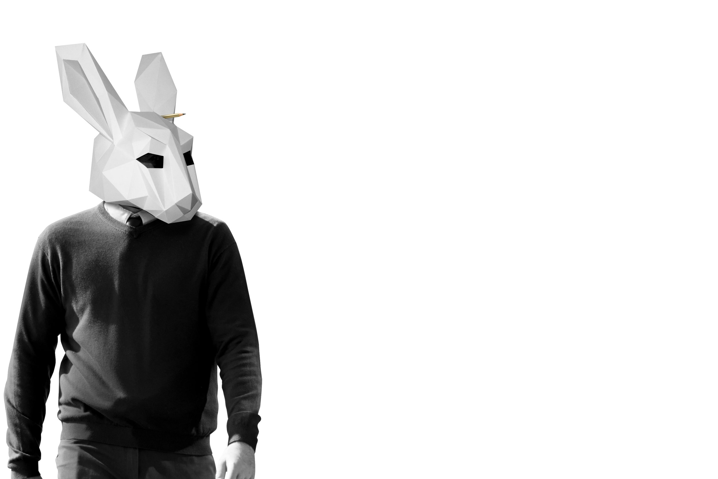 rabbit page.jpg