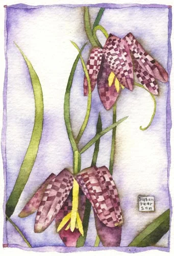 fritillaria.jpg