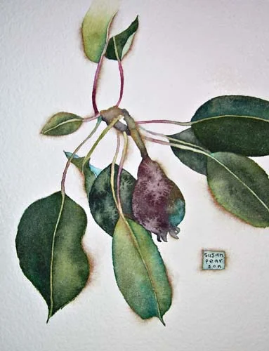leaves.jpg