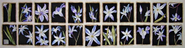 lilies.jpg