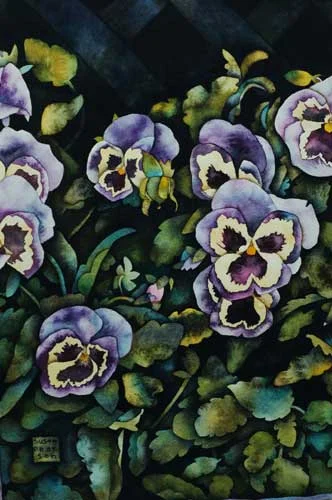 pansy-garden.jpg