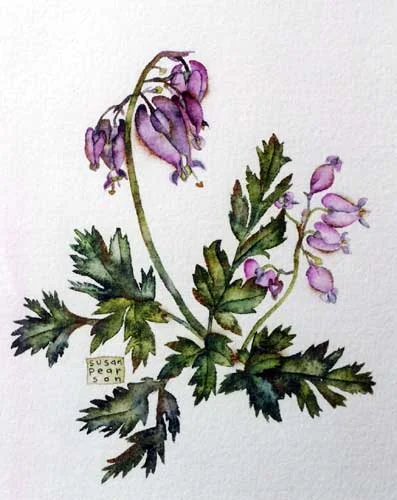 purple-flowers2.jpg