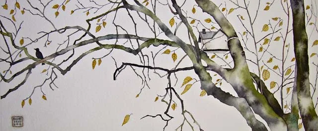 fall.jpg