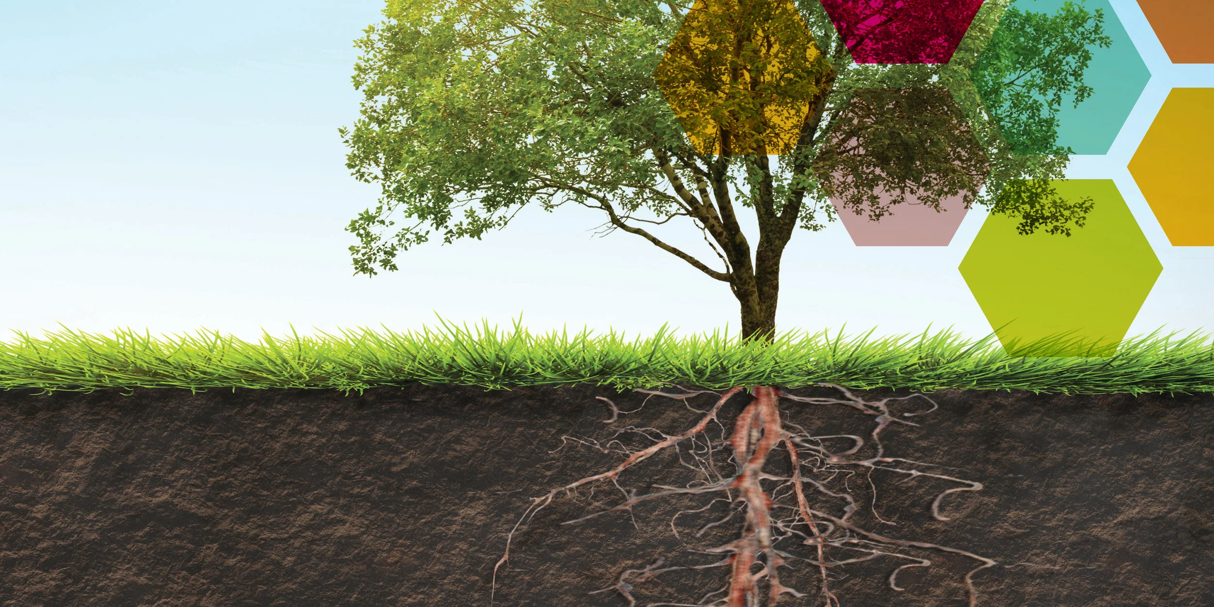 ASD BANNER Services 2.jpeg