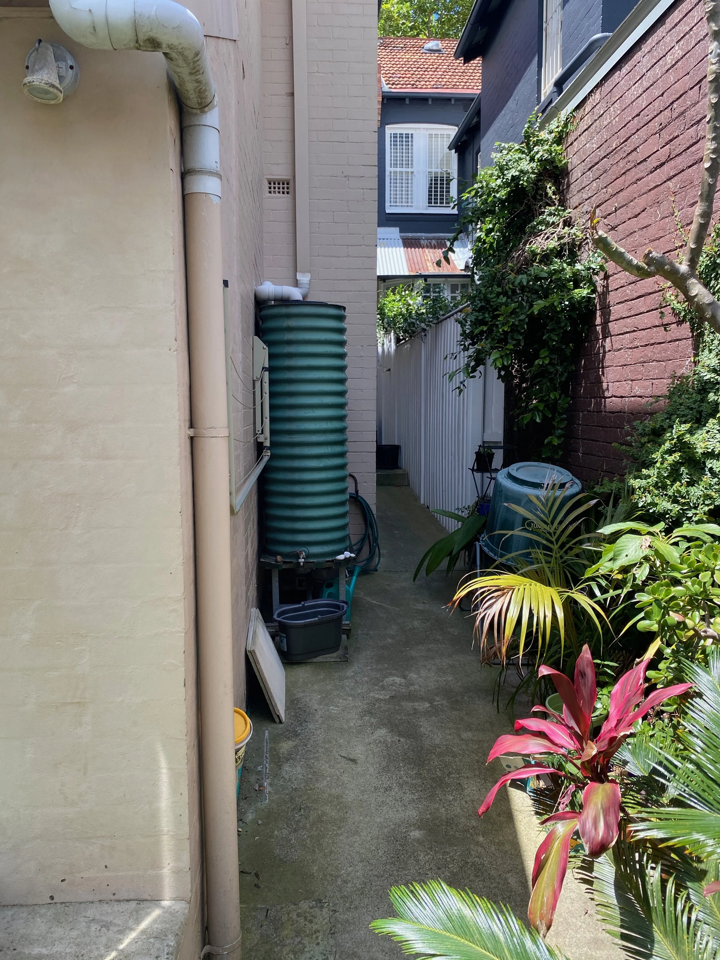 IMG_8170.jpeg