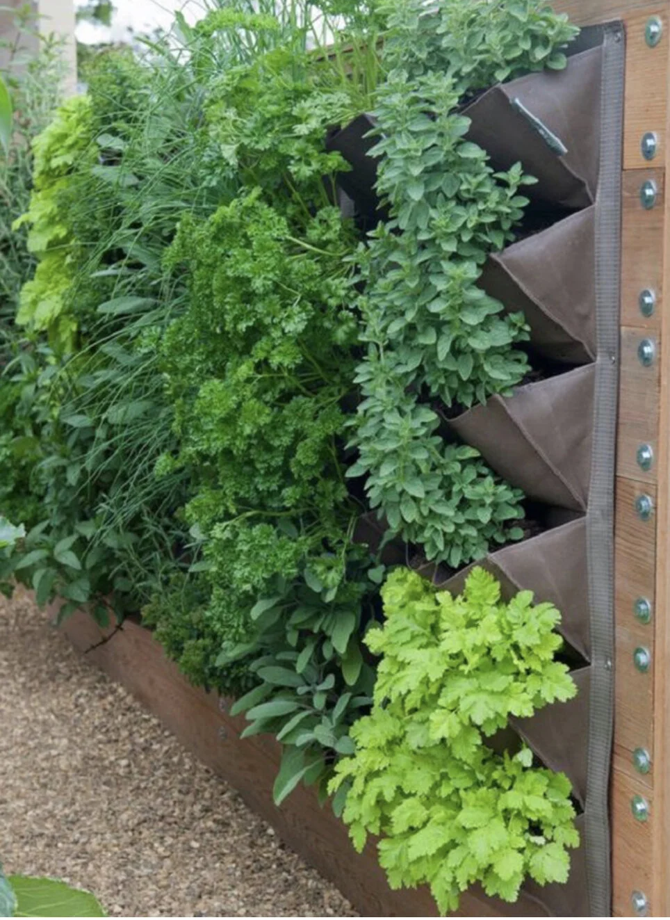 This vertical herb garden is dual functioning - feeding us mentally and gastronomically. Green thumb anyone?!