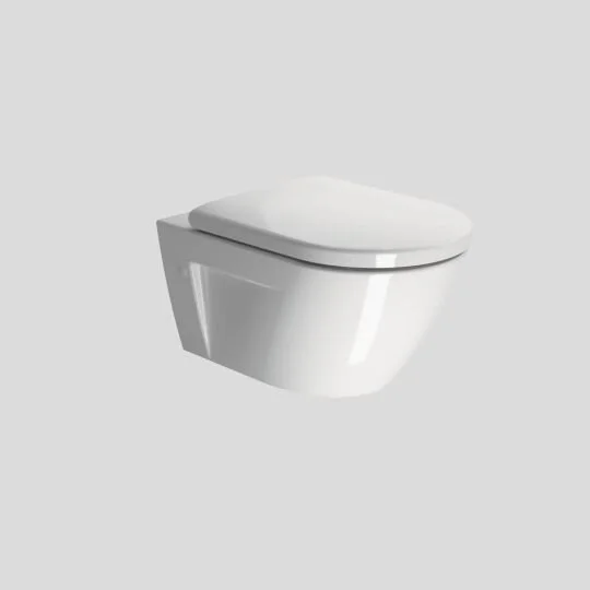 toilet.jpg