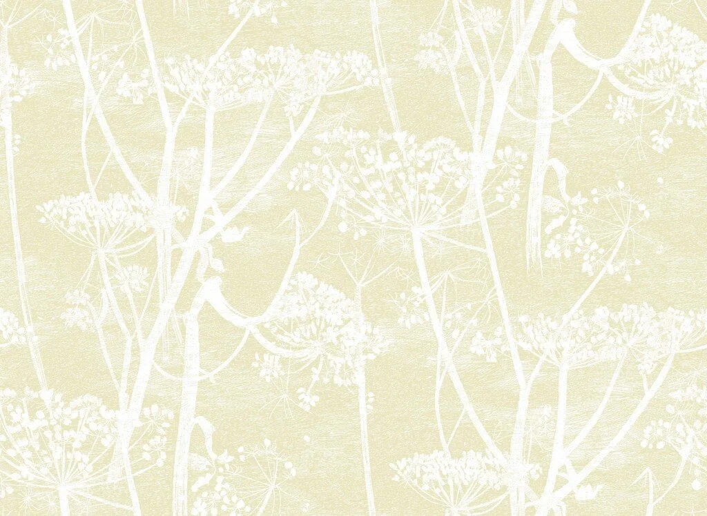 Cole and Sons wallpaper, Cow Parsley.