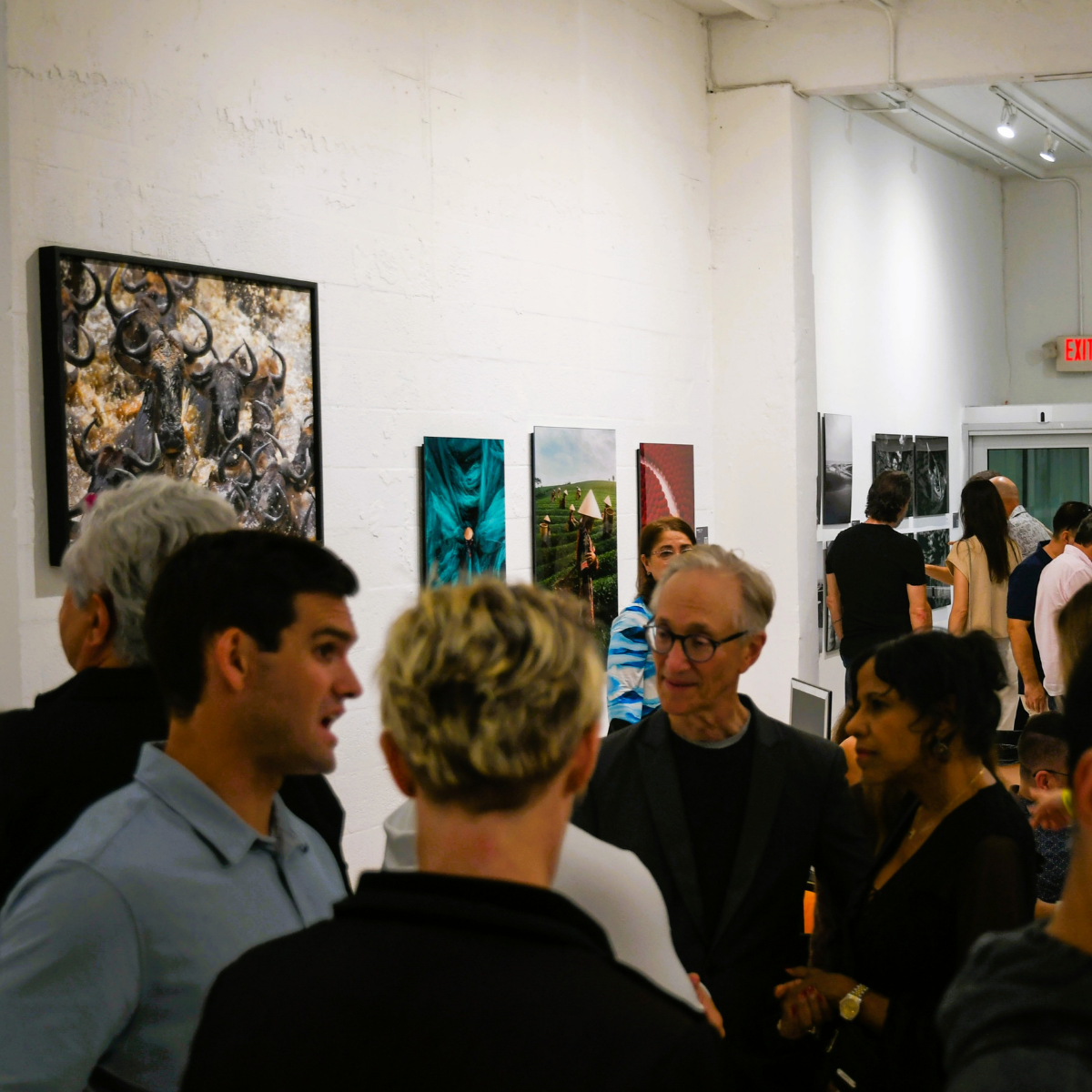 Gallery Openings, Exhibitions & Networking Events: Connect + Discover