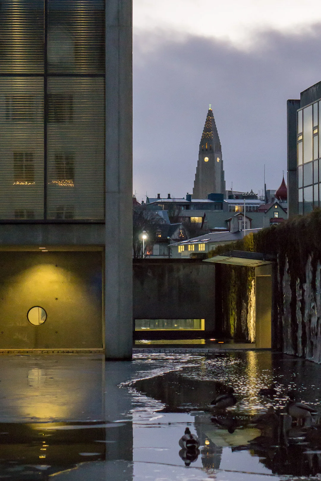 20151215-013.JPG