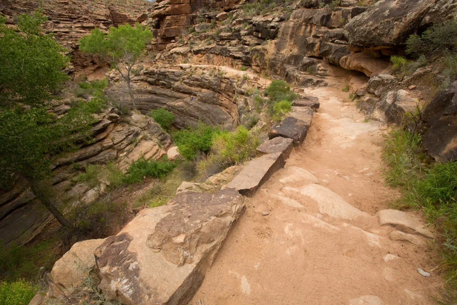 016_Grand_Canyon_Trails_3703-MWeb.jpg
