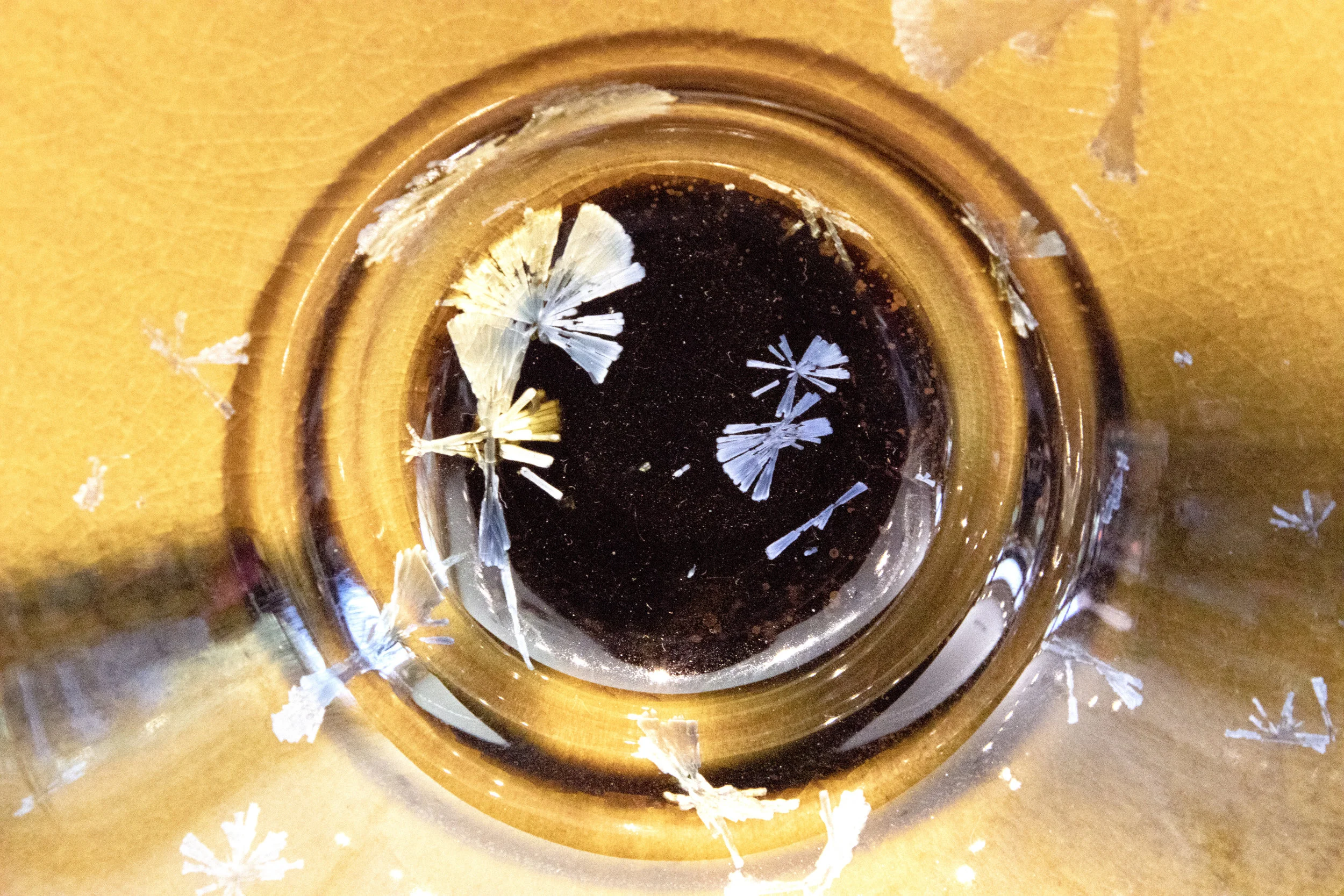 Dr. Bonnin Abstract-575.-E3-LR.jpg