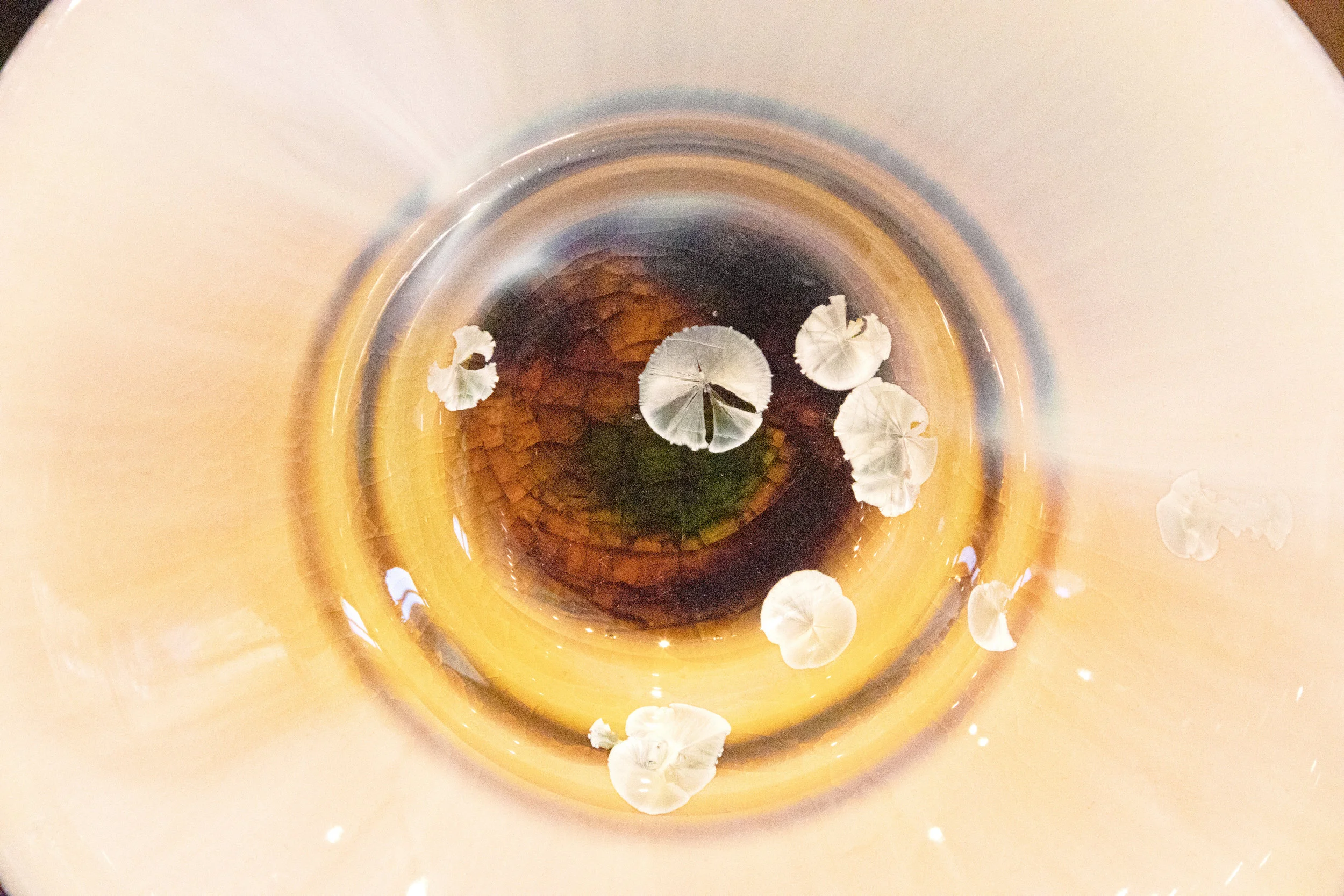 Dr. Bonnin Abstract-563-E2-LR.jpg