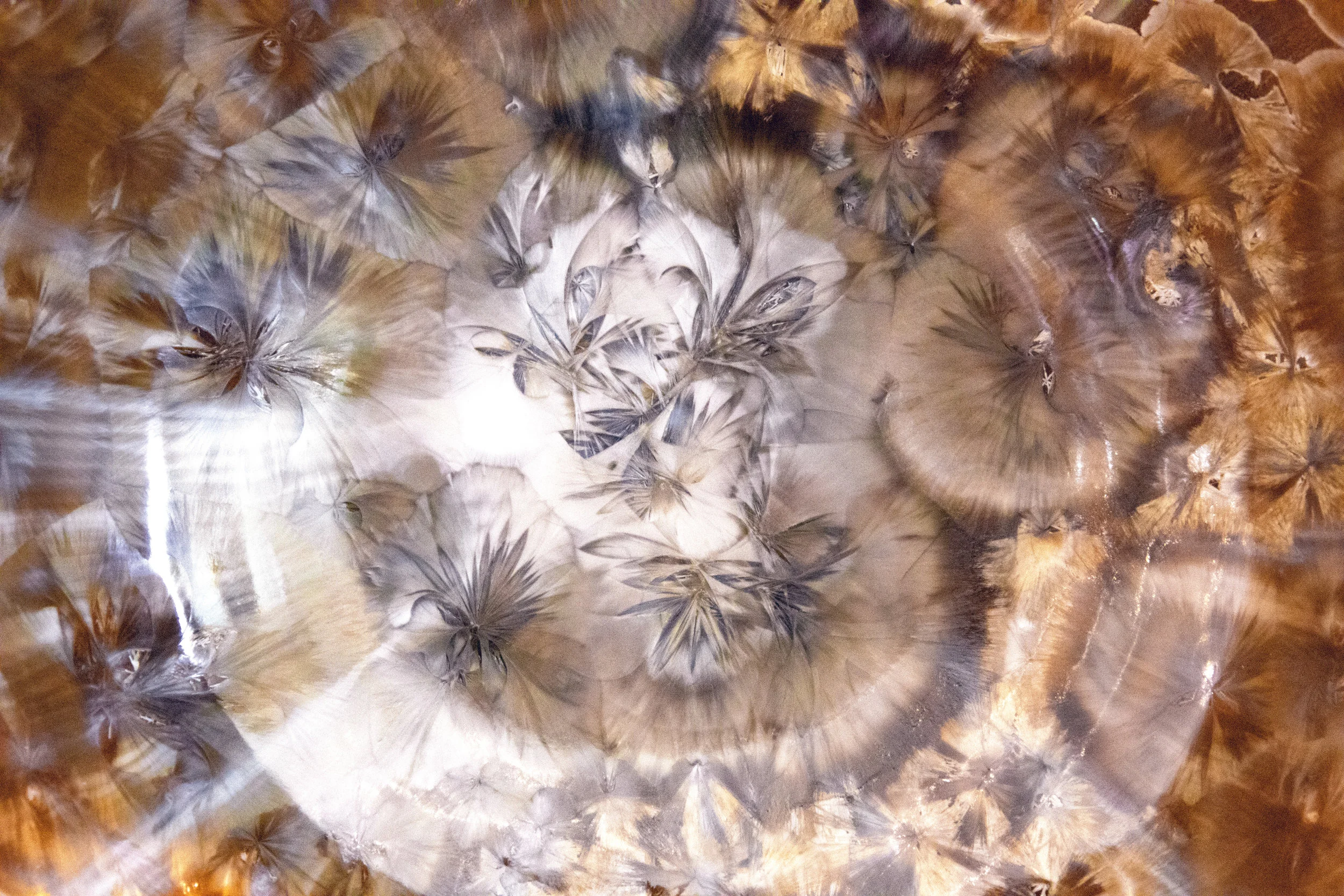 Dr. Bonnin Abstract-606-E2-LR.jpg