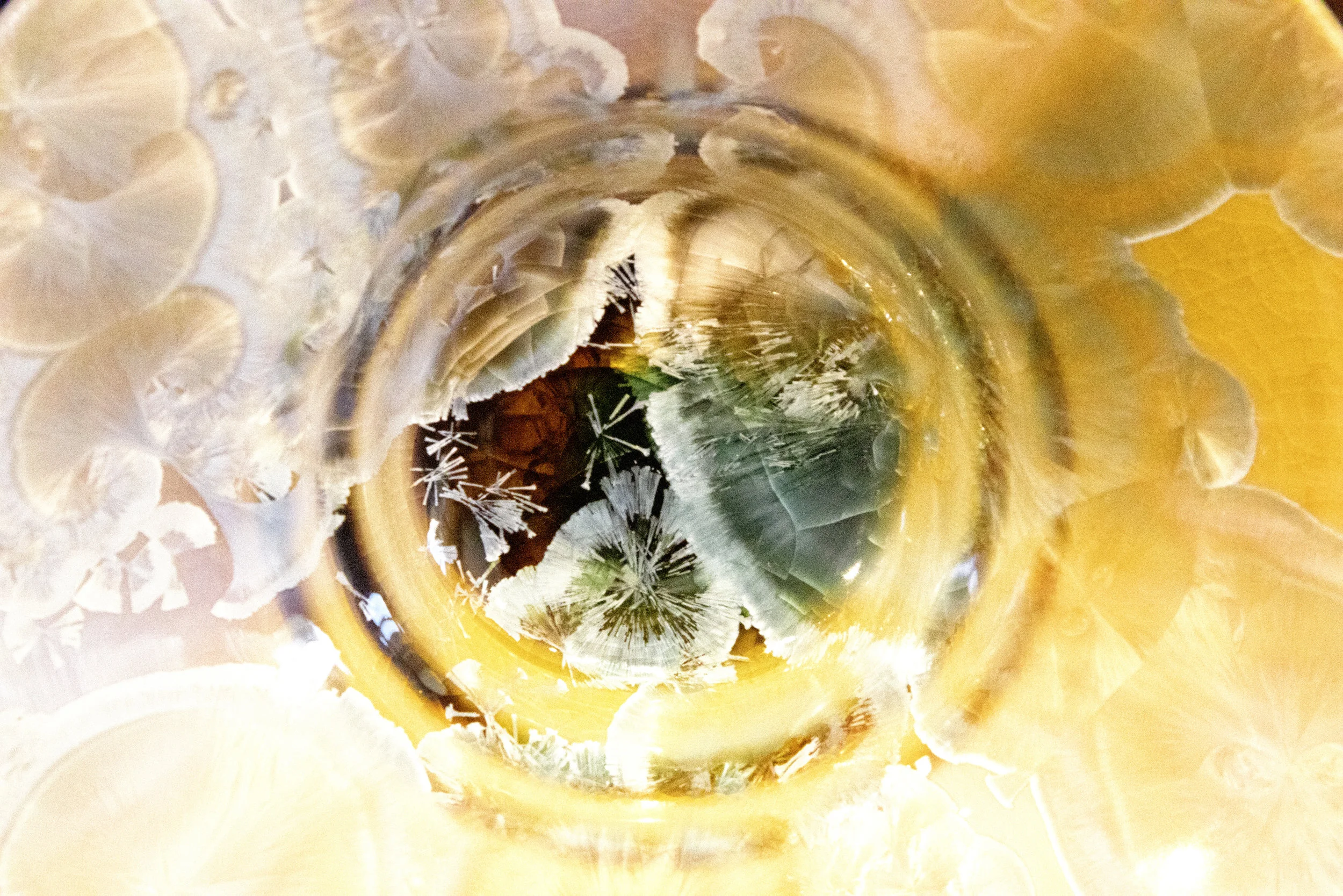 Dr. Bonnin Abstract-632-E3-LR.jpg