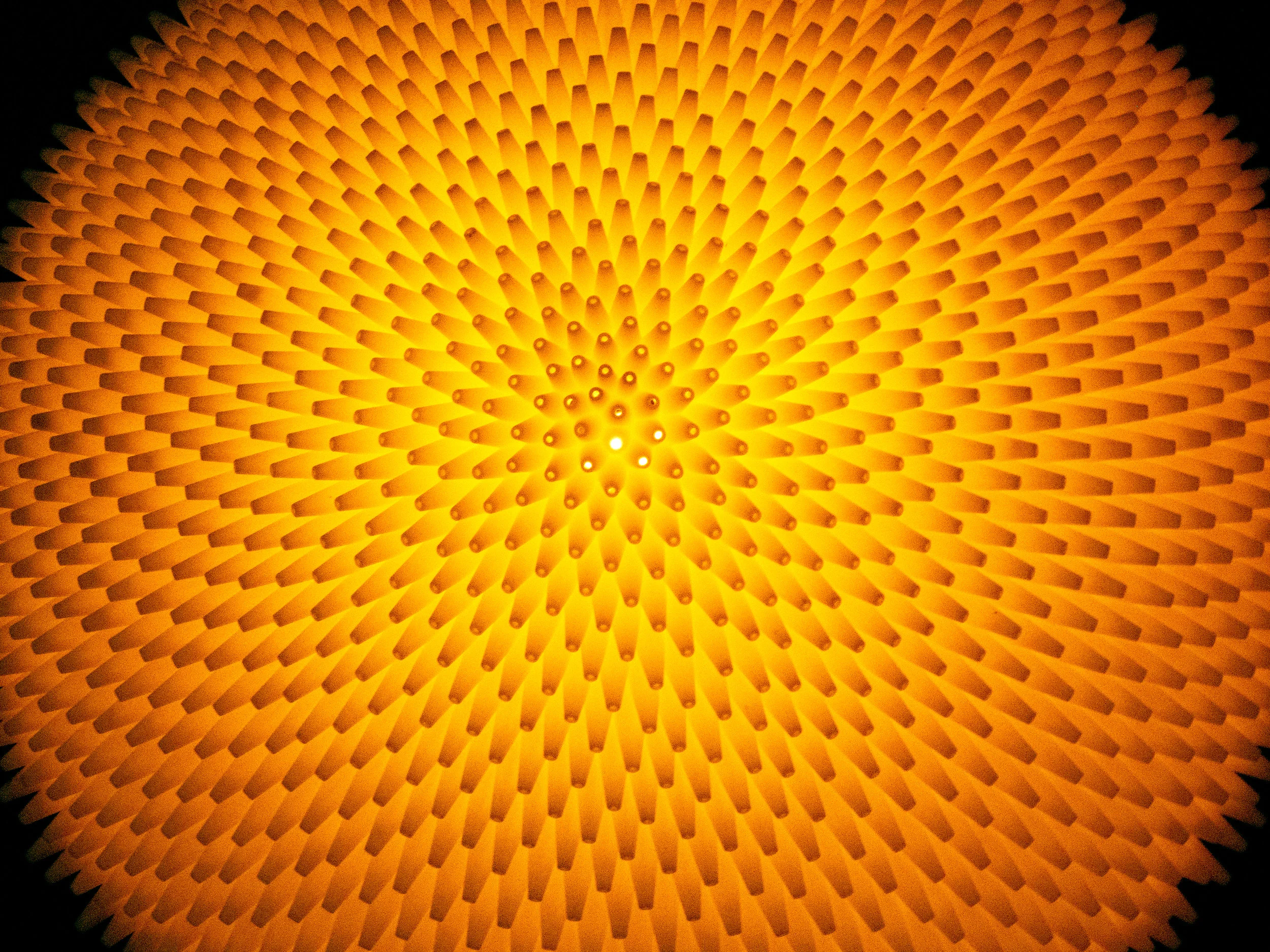 Dr. Bonnin Abstract-1108-E2.jpg