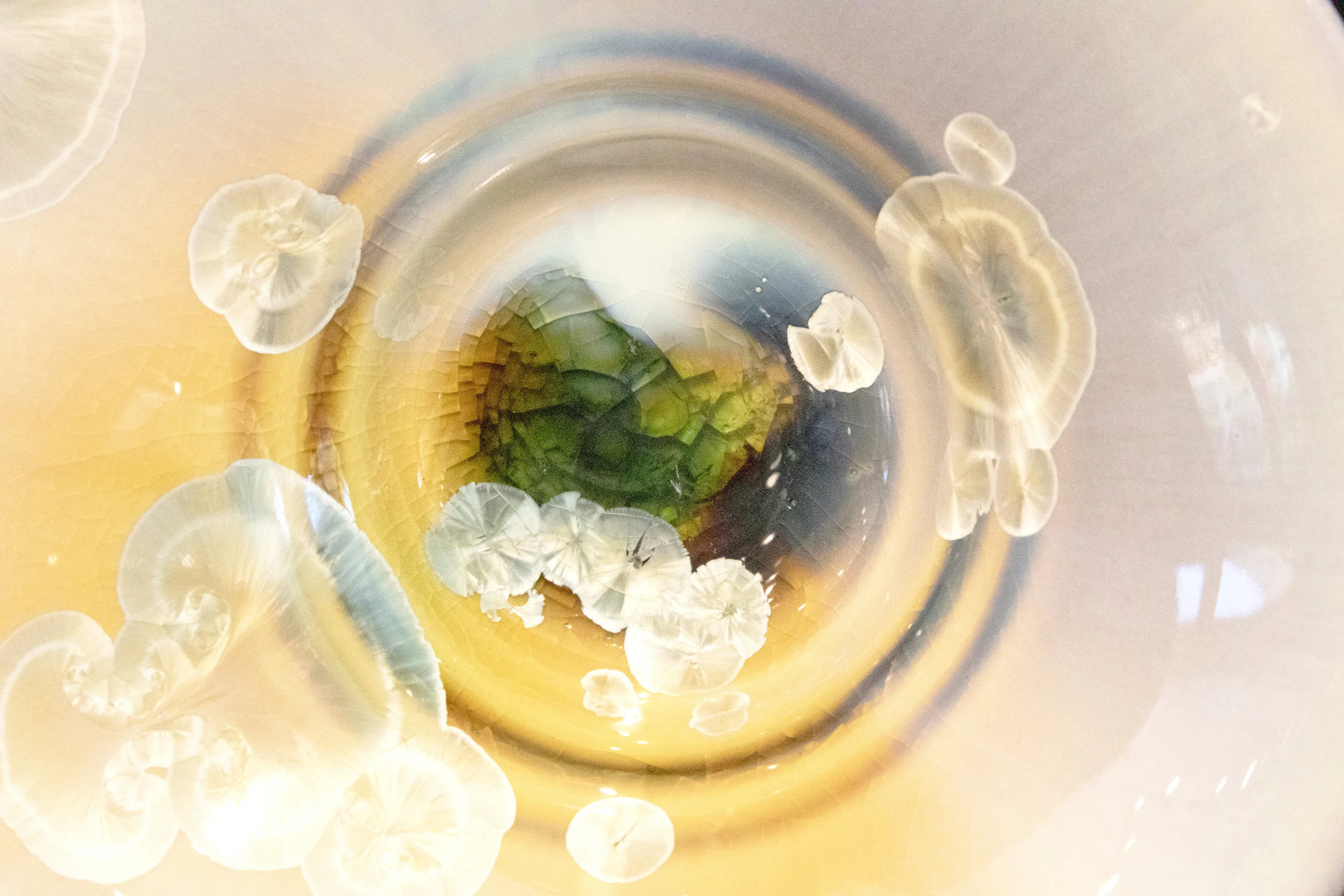 Dr. Bonnin Abstract-595-E3-LR.jpg