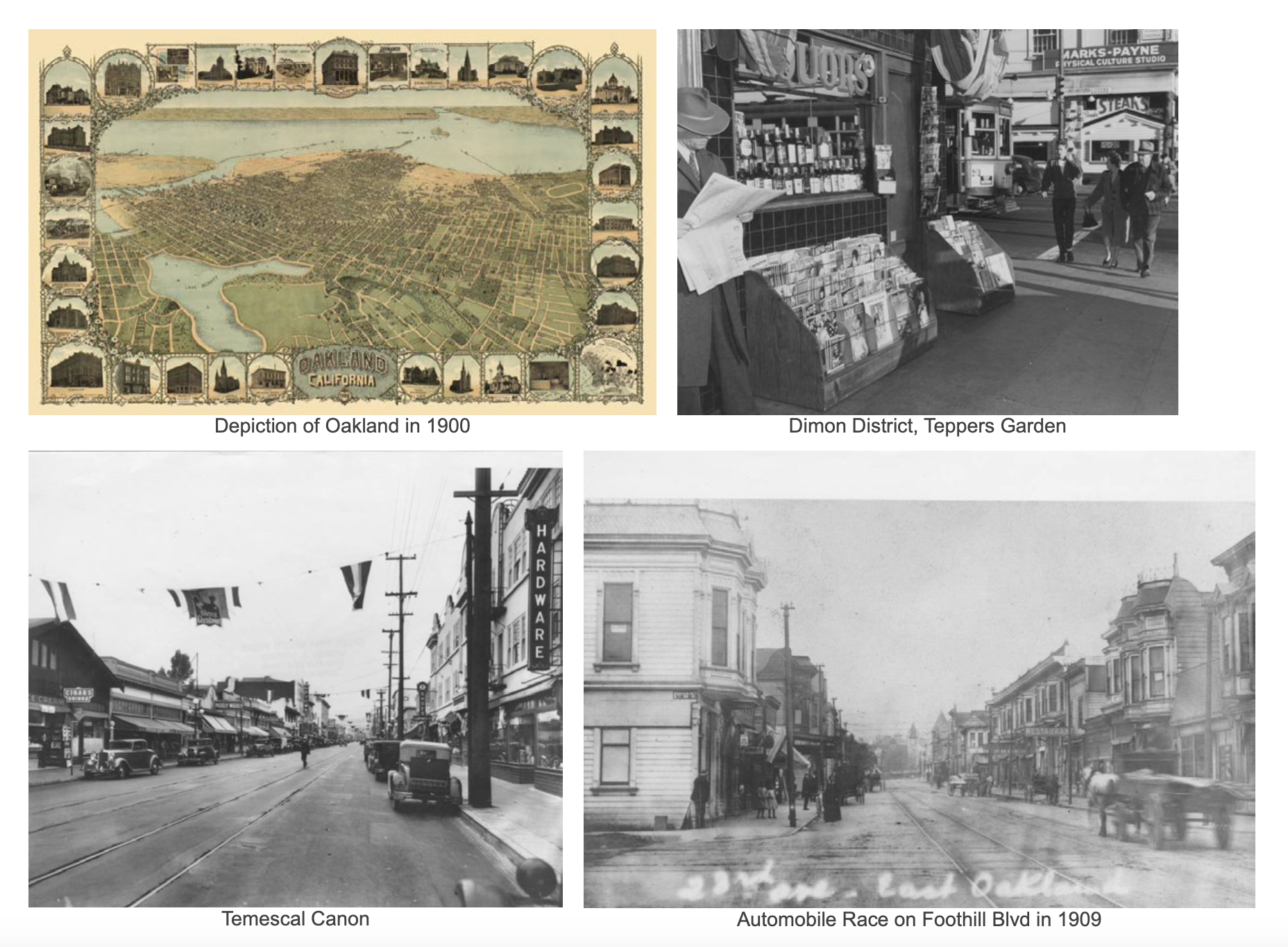 Screenshot 2025-08-18 at 11.39.25 AM.png