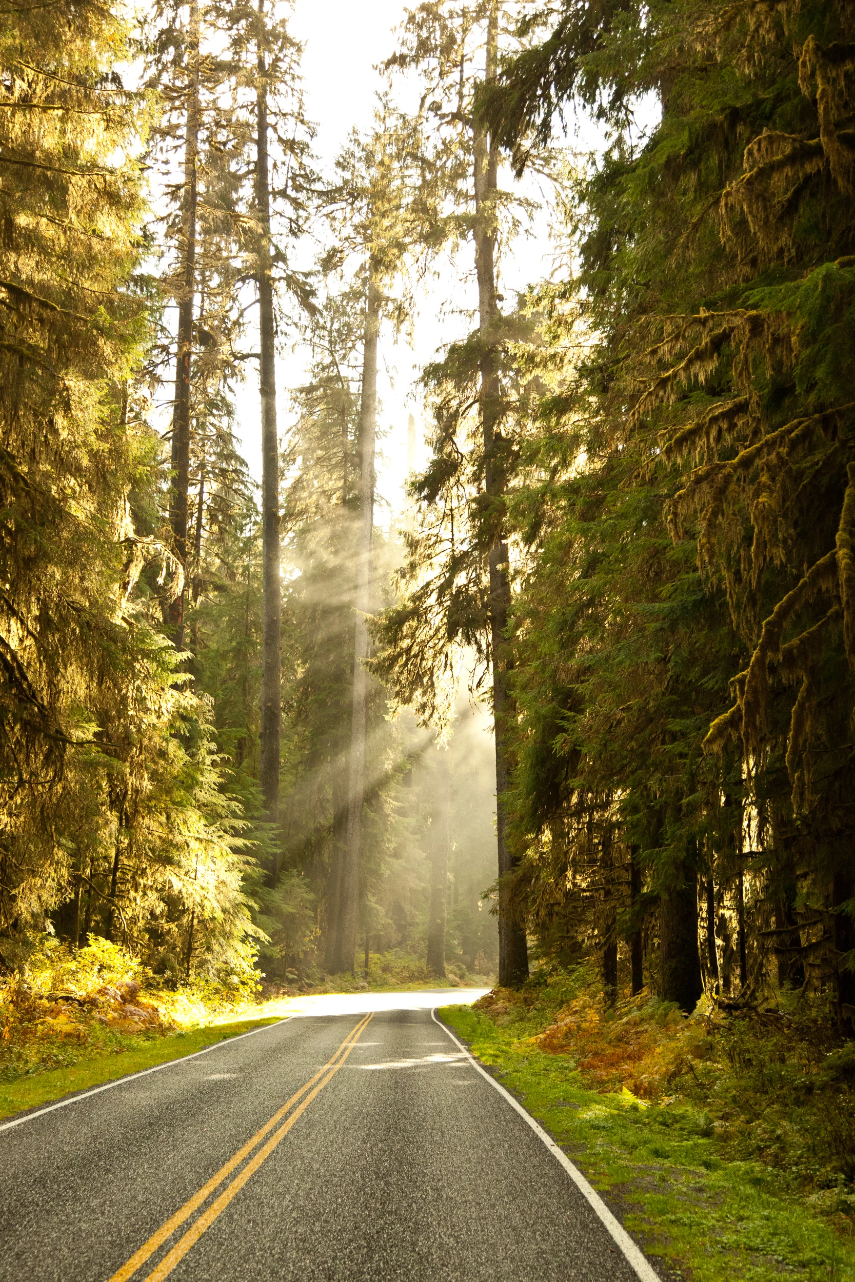 Canadian_Light_rays.jpg