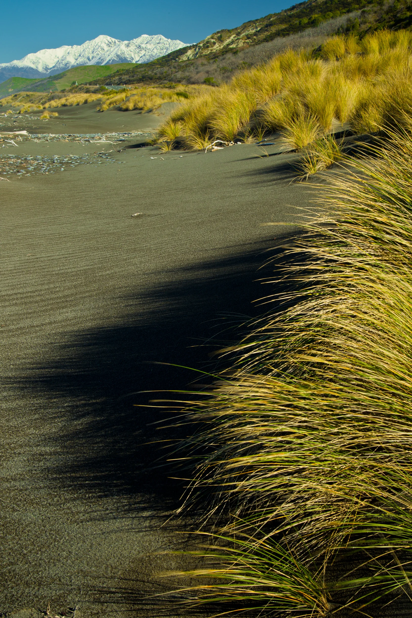 NZ_Beach.jpg