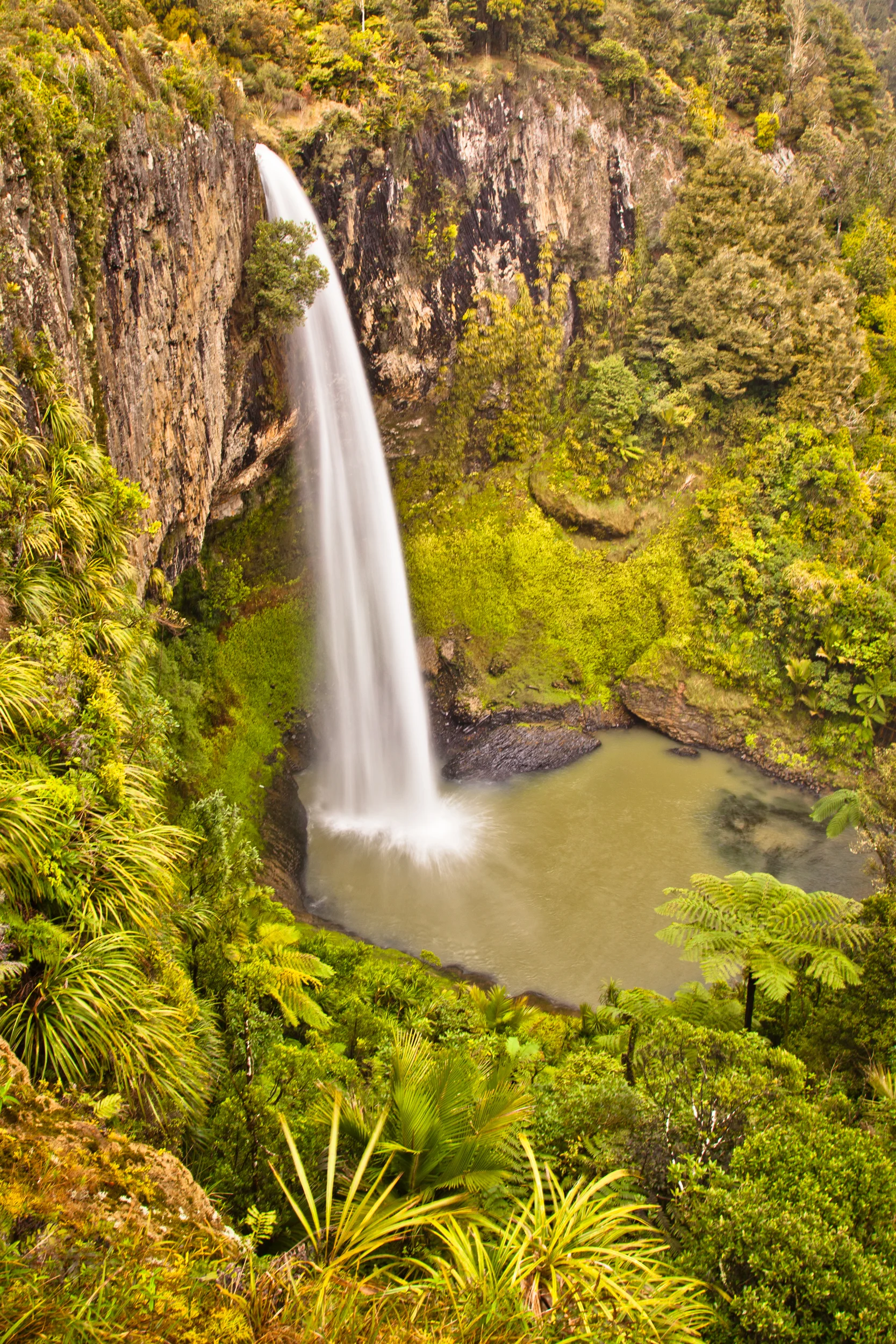 NZ_Waterfall.jpg