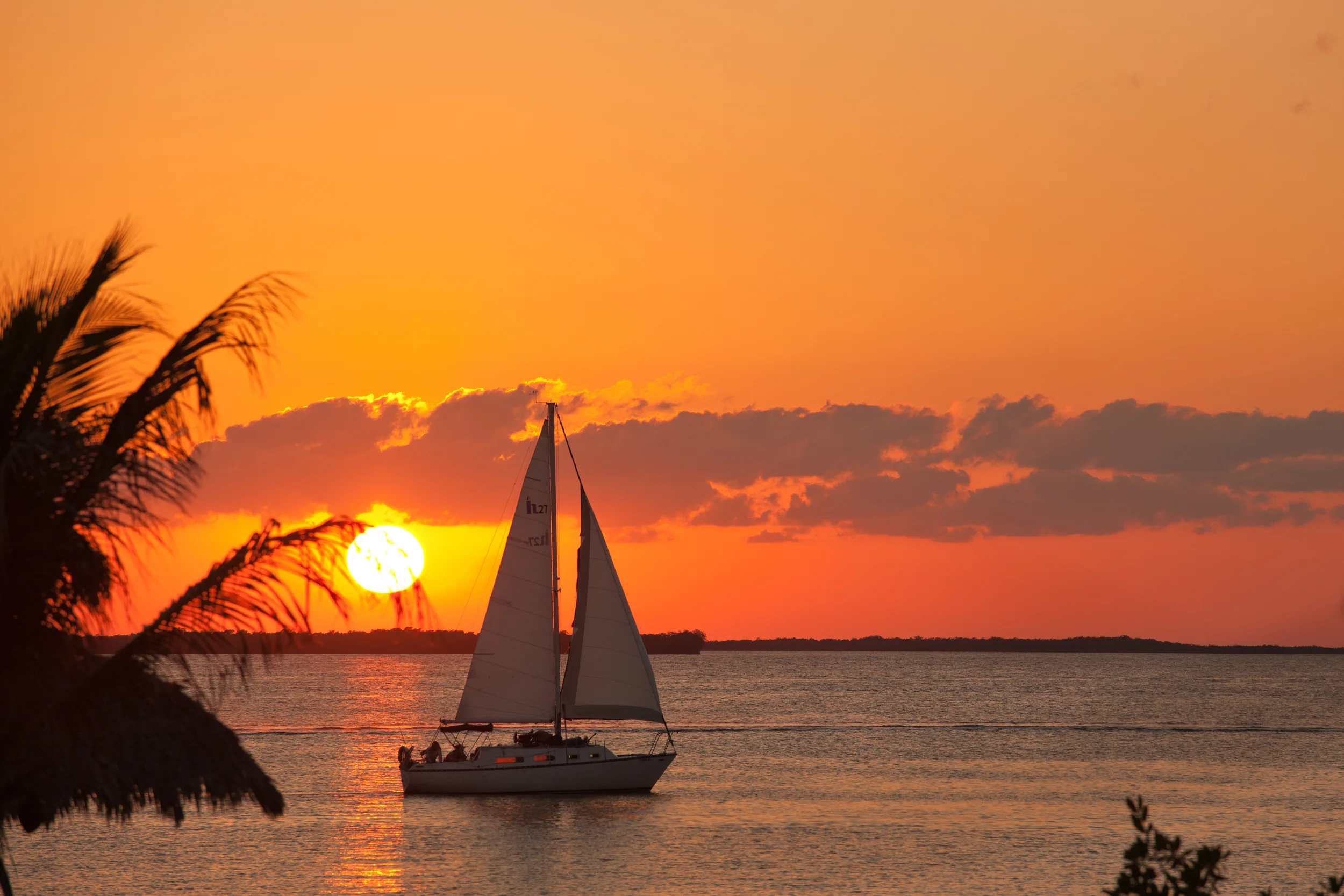 Sailboat_FL.jpg