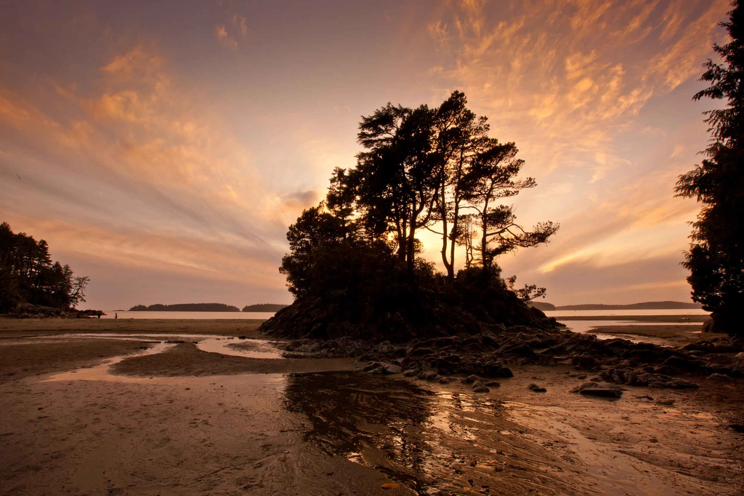 Tofino.jpg