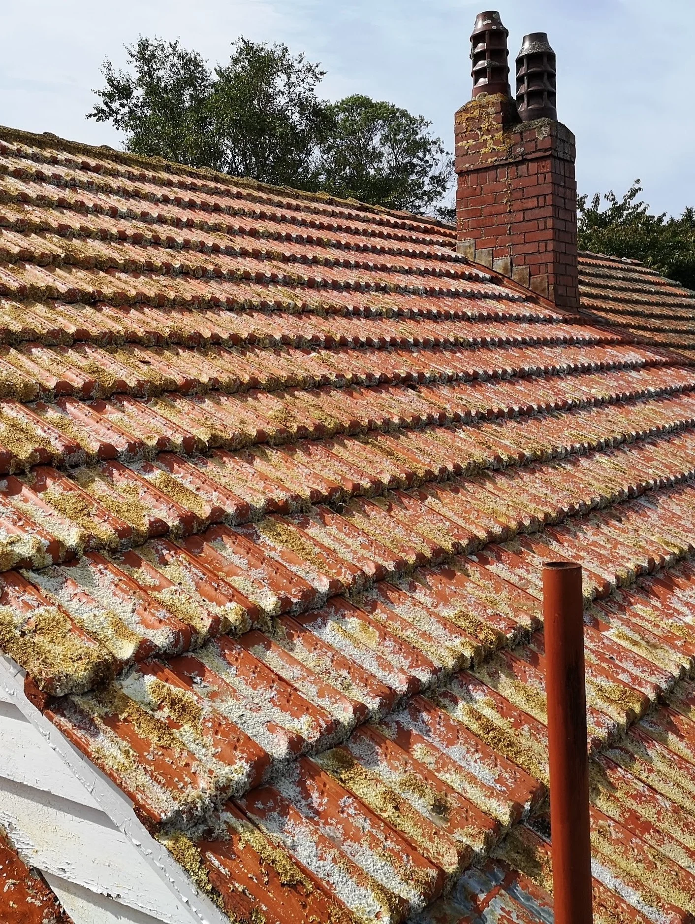 Roof%2BCleaning%2BWellington.jpg