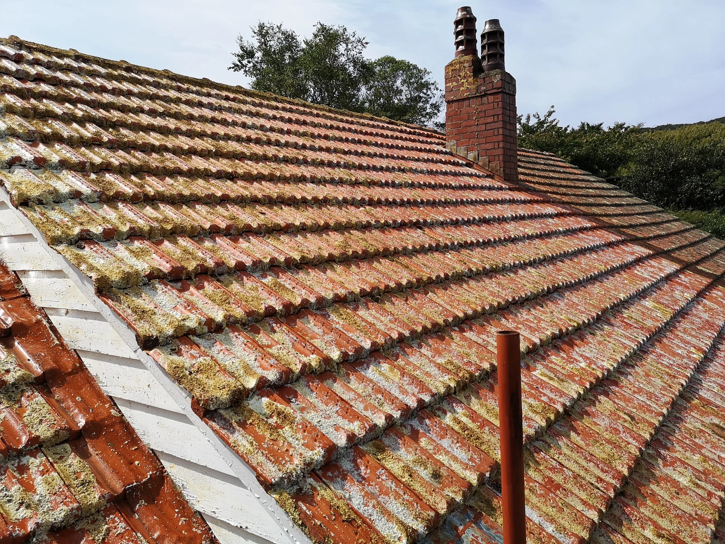 Roof Cleaning Wellington.jpg