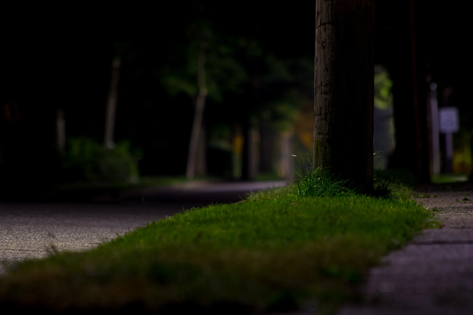 NJ Suburb