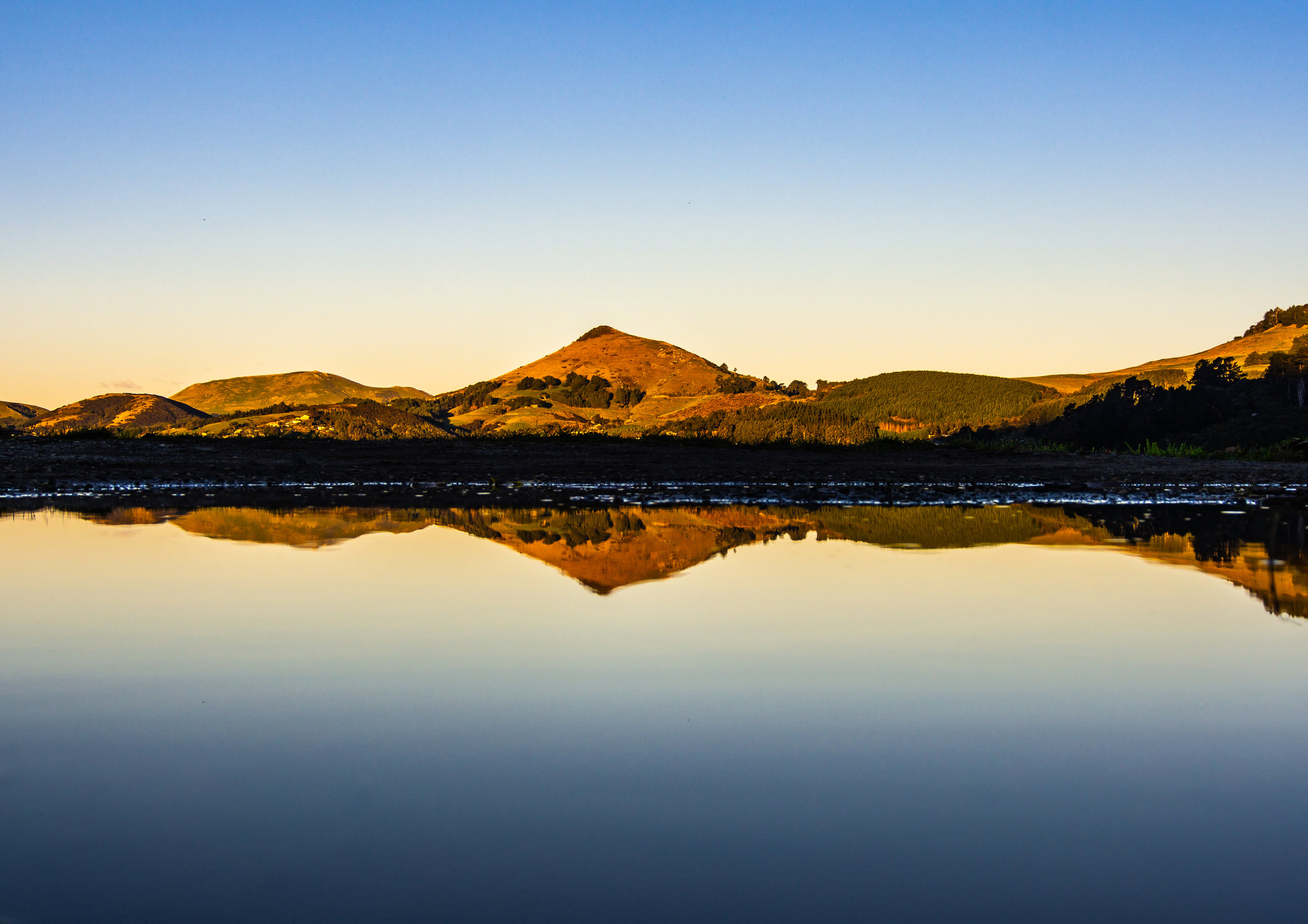 November A Harbour Cone, Otago Harbour.jpg