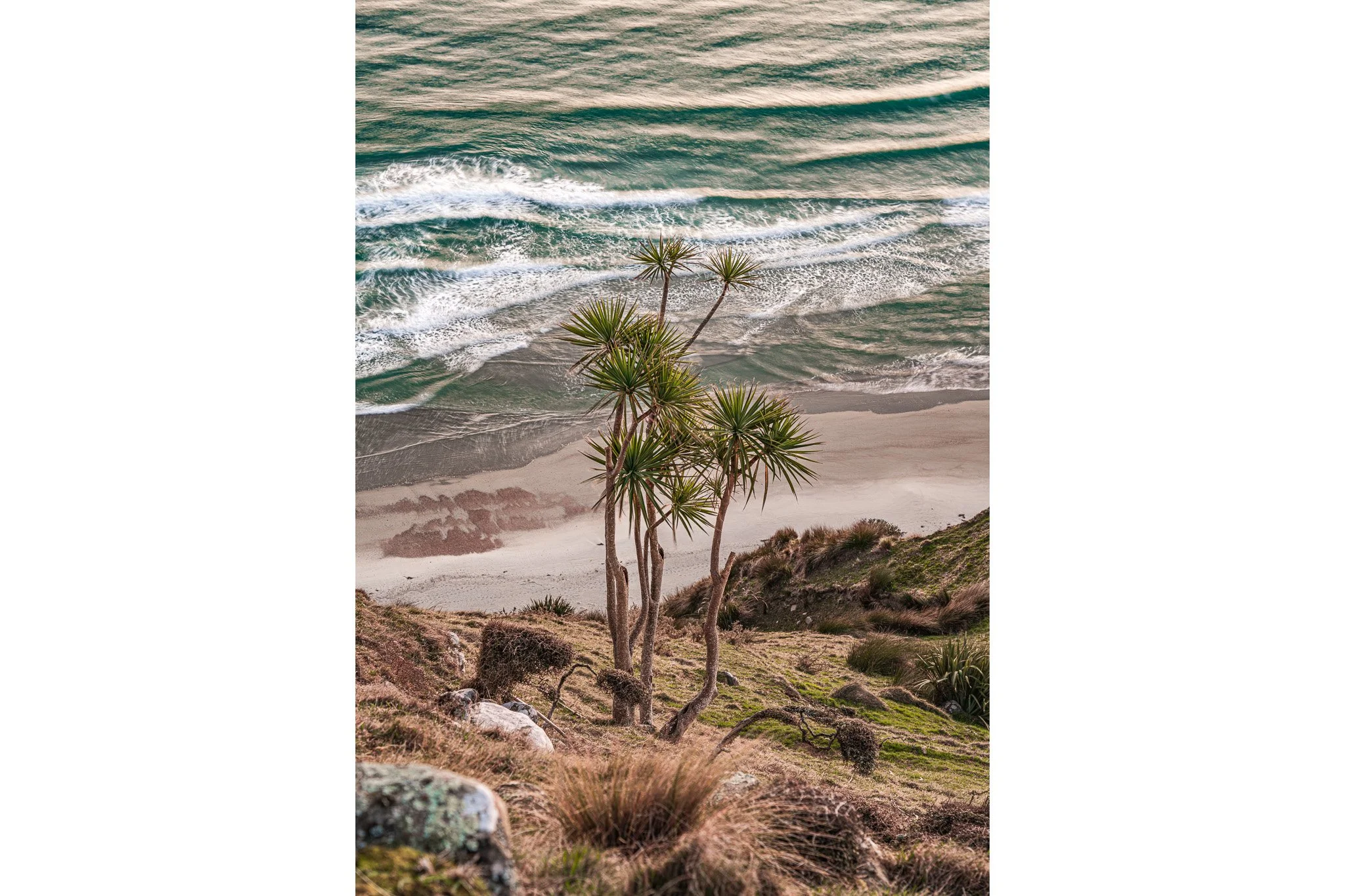 ELEMENTAL / Aramoana