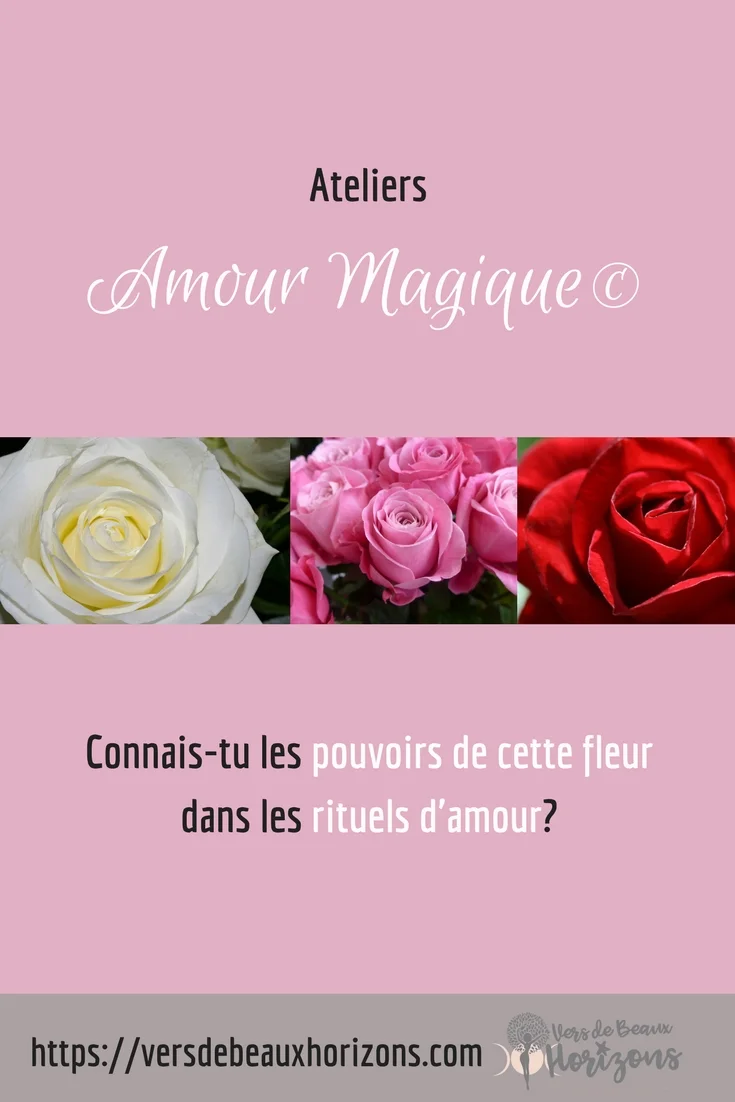 AM_pouvoirdesroses_question_Pinterest.jpg