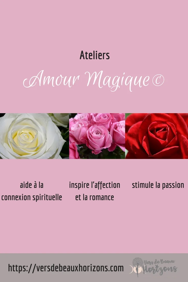 AM_pouvoirdesroses_reponses_Pinterest.jpg