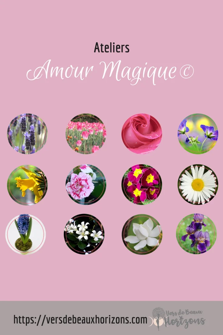 AM_touteslesfleurs_pinterest.jpg