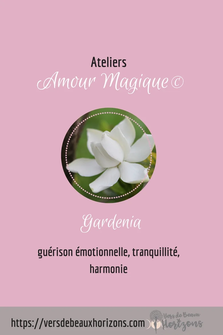 Gardenia_Pinterest.jpg