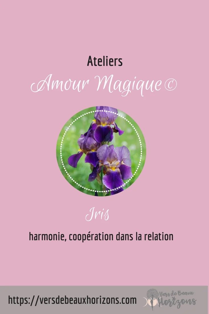Iris_Pinterest.jpg