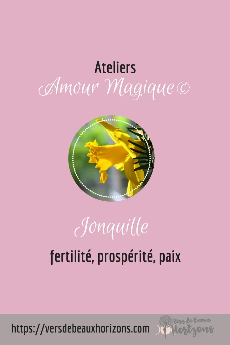 jonquille_Pinterest.jpg