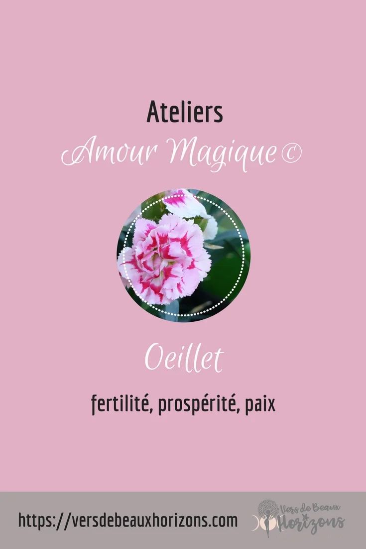 Oeuillet_Pinterest.jpg