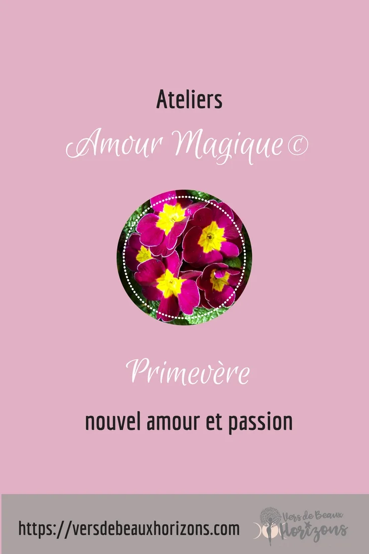 Primevère_Pinterest.jpg