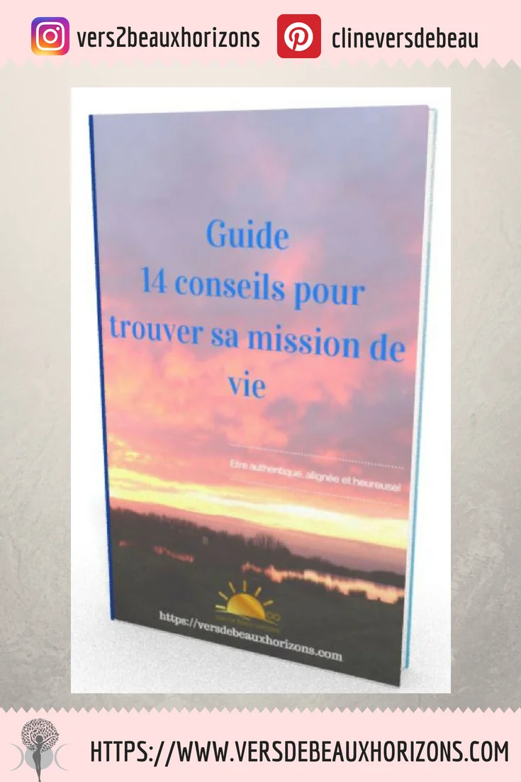 guide trouver sa mission de vie VDBH.jpeg